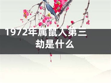 1972年属鼠人第三劫是什么