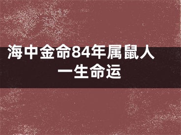 海中金命84年属鼠人一生命运