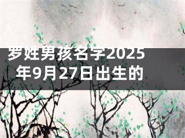 罗姓男孩名字2025年9月27日出生的