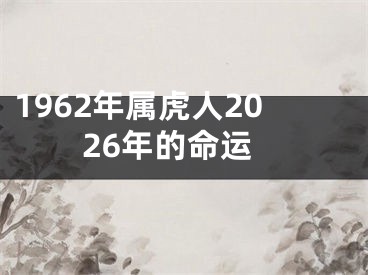 1962年属虎人2026年的命运