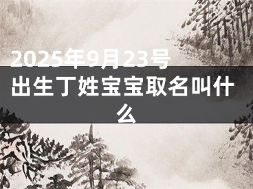 2025年9月23号出生丁姓宝宝取名叫什么