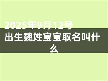 2025年9月12号出生魏姓宝宝取名叫什么