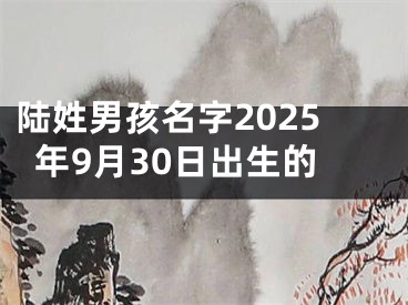 陆姓男孩名字2025年9月30日出生的