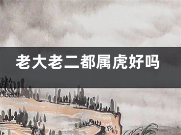 老大老二都属虎好吗