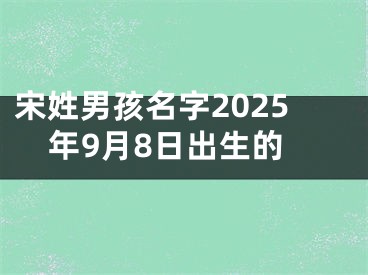 宋姓男孩名字2025年9月8日出生的