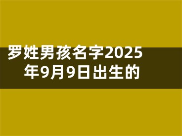 罗姓男孩名字2025年9月9日出生的