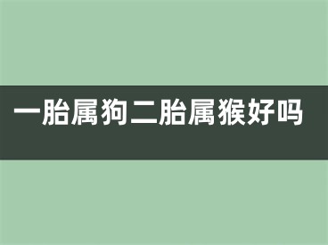 一胎属狗二胎属猴好吗