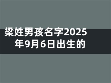 梁姓男孩名字2025年9月6日出生的
