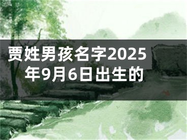 贾姓男孩名字2025年9月6日出生的