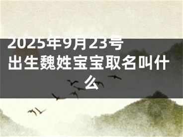 2025年9月23号出生魏姓宝宝取名叫什么