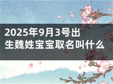 2025年9月3号出生魏姓宝宝取名叫什么