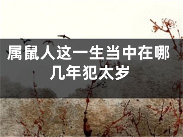 属鼠人这一生当中在哪几年犯太岁
