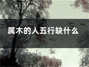 属木的人五行缺什么