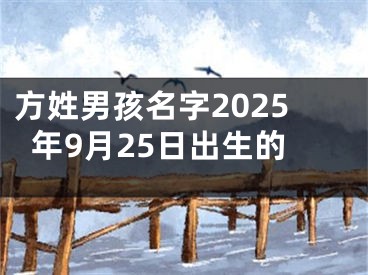 方姓男孩名字2025年9月25日出生的