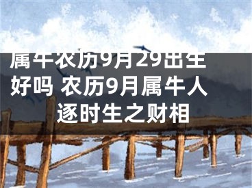 属牛农历9月29出生好吗 农历9月属牛人逐时生之财相