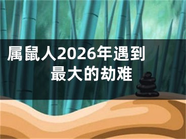 属鼠人2026年遇到最大的劫难