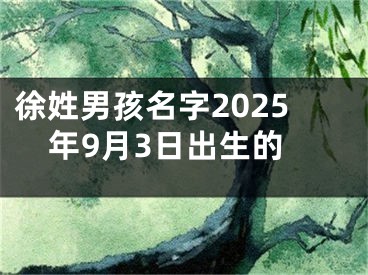 徐姓男孩名字2025年9月3日出生的