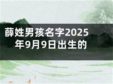 薛姓男孩名字2025年9月9日出生的