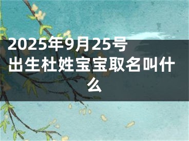 2025年9月25号出生杜姓宝宝取名叫什么