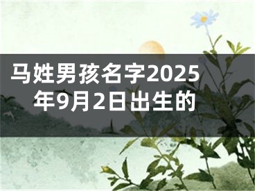 马姓男孩名字2025年9月2日出生的
