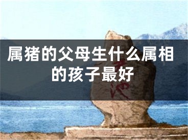 属猪的父母生什么属相的孩子最好
