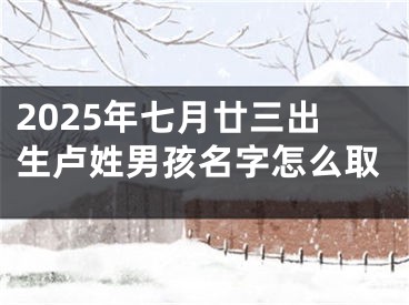 2025年七月廿三出生卢姓男孩名字怎么取