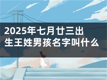 2025年七月廿三出生王姓男孩名字叫什么