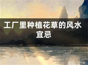 工厂里种植花草的风水宜忌