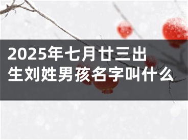 2025年七月廿三出生刘姓男孩名字叫什么