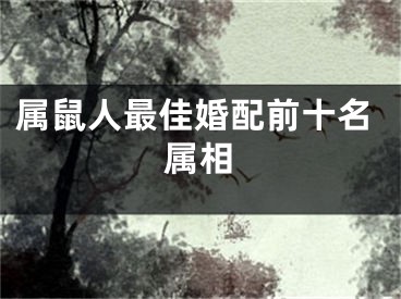 属鼠人最佳婚配前十名属相