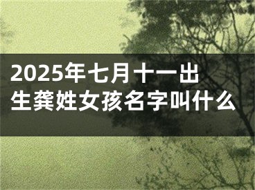 2025年七月十一出生龚姓女孩名字叫什么