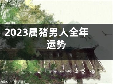 2023属猪男人全年运势