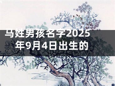 马姓男孩名字2025年9月4日出生的