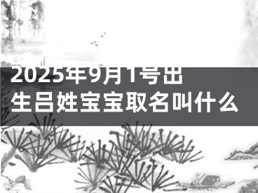 2025年9月1号出生吕姓宝宝取名叫什么