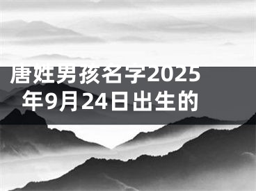 唐姓男孩名字2025年9月24日出生的