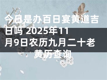 今日是办百日宴黄道吉日吗 2025年11月9日农历九月二十老黄历查询