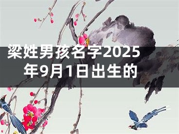 梁姓男孩名字2025年9月1日出生的