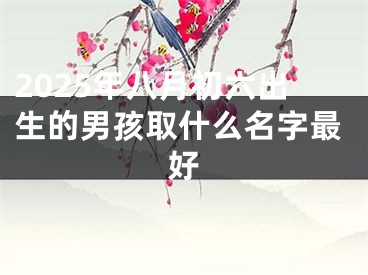 2025年八月初六出生的男孩取什么名字最好