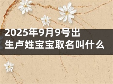 2025年9月9号出生卢姓宝宝取名叫什么