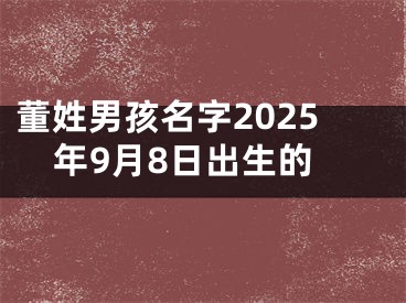 董姓男孩名字2025年9月8日出生的