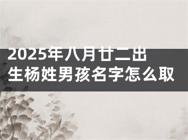 2025年八月廿二出生杨姓男孩名字怎么取