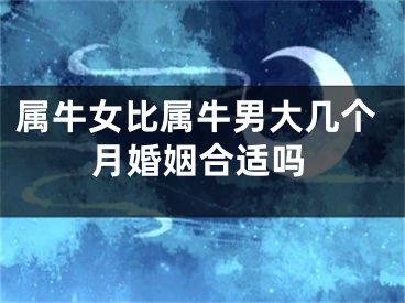 属牛女比属牛男大几个月婚姻合适吗