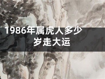 1986年属虎人多少岁走大运