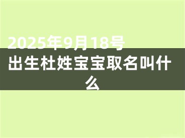 2025年9月18号出生杜姓宝宝取名叫什么