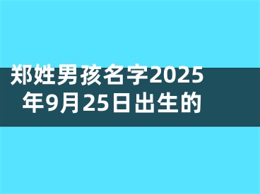 郑姓男孩名字2025年9月25日出生的