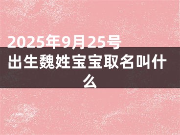 2025年9月25号出生魏姓宝宝取名叫什么