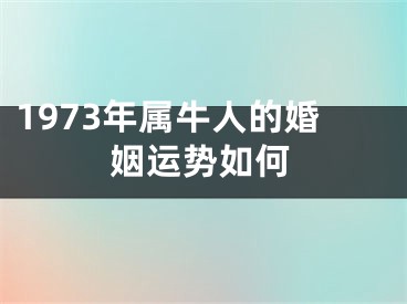 1973年属牛人的婚姻运势如何