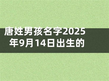 唐姓男孩名字2025年9月14日出生的