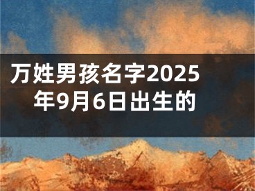 万姓男孩名字2025年9月6日出生的