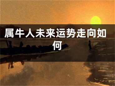 属牛人未来运势走向如何